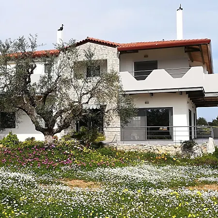 Elena Bungalows